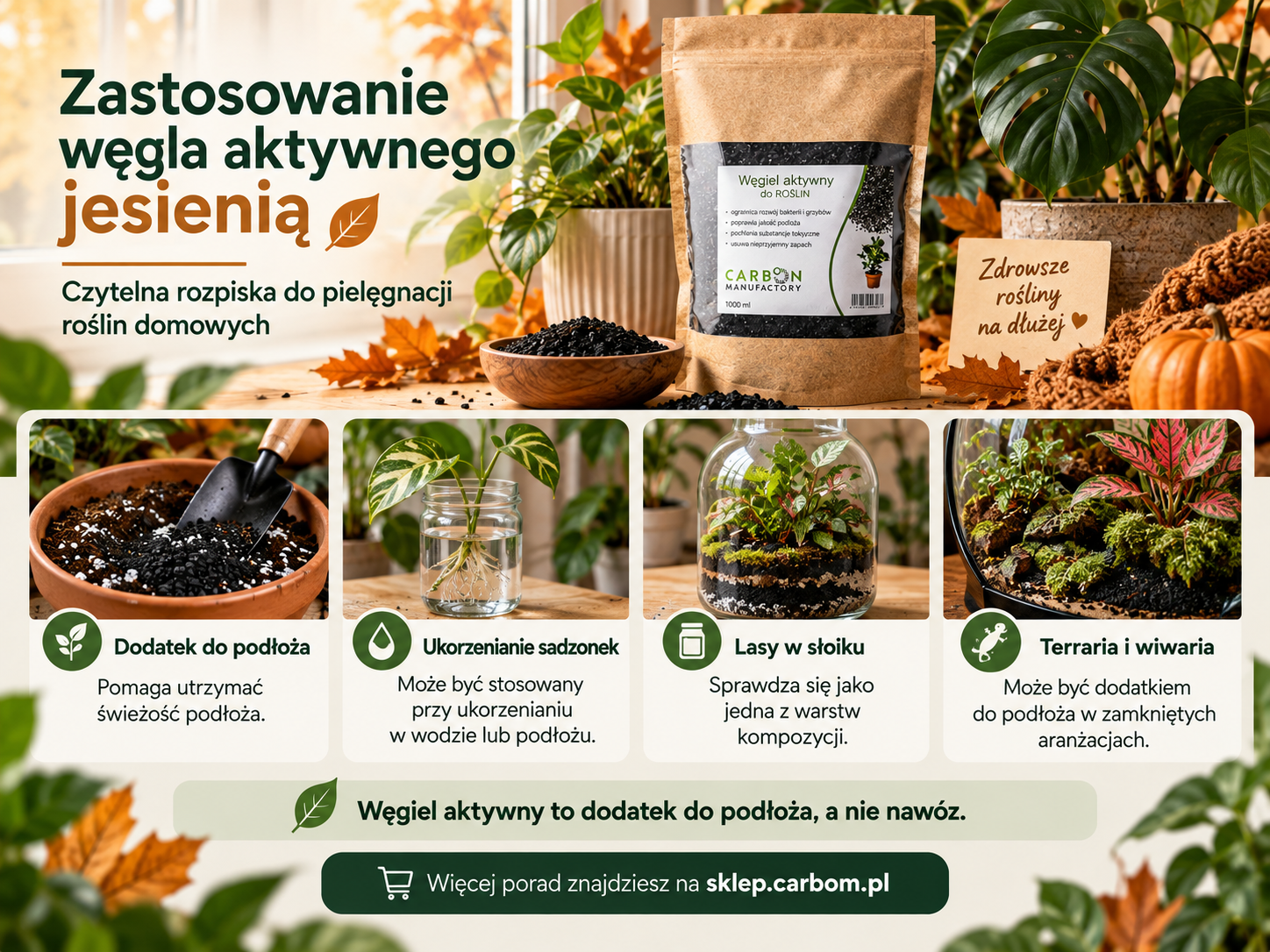 Jesienne zastosowanie węgla aktywnego do roślin domowych